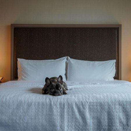 Homewood Suites By Hilton Chicago West Loop Fulton Mkt Area Eksteriør billede