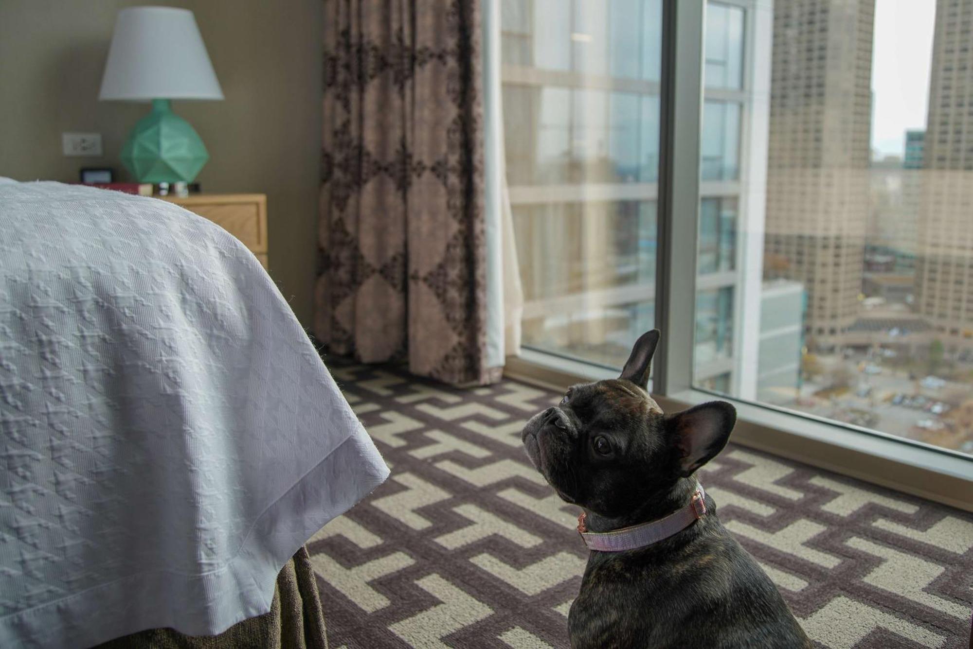 Homewood Suites By Hilton Chicago West Loop Fulton Mkt Area Eksteriør billede